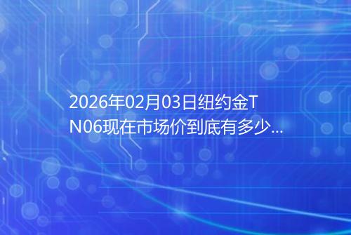 2026年02月03日纽约金TN06现在市场价到底有多少元一克