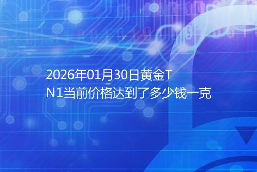 2026年01月30日黄金TN1当前价格达到了多少钱一克