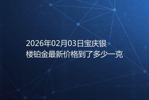 2026年02月03日宝庆银楼铂金最新价格到了多少一克