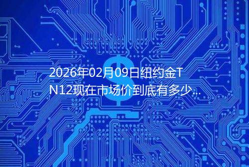 2026年02月09日纽约金TN12现在市场价到底有多少一克