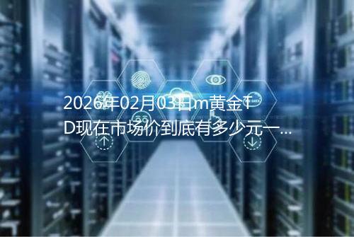 2026年02月03日m黄金TD现在市场价到底有多少元一克