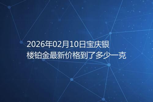 2026年02月10日宝庆银楼铂金最新价格到了多少一克