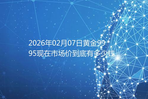 2026年02月07日黄金9995现在市场价到底有多少钱一克