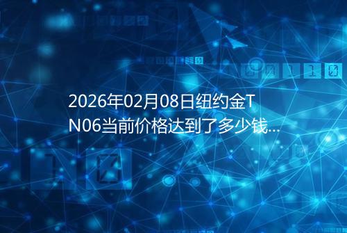 2026年02月08日纽约金TN06当前价格达到了多少钱一克