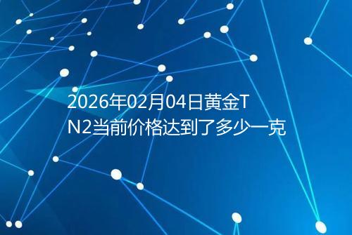 2026年02月04日黄金TN2当前价格达到了多少一克