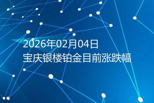 2026年02月04日宝庆银楼铂金目前涨跌幅