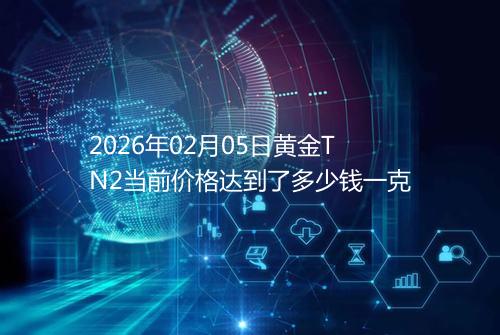 2026年02月05日黄金TN2当前价格达到了多少钱一克