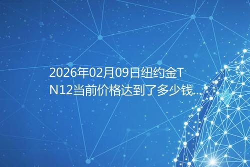 2026年02月09日纽约金TN12当前价格达到了多少钱一克