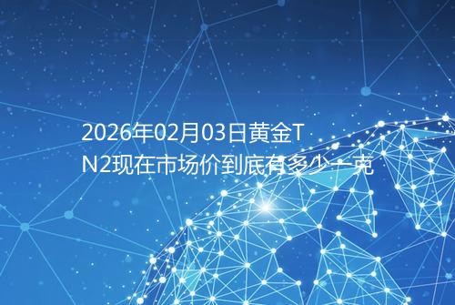 2026年02月03日黄金TN2现在市场价到底有多少一克