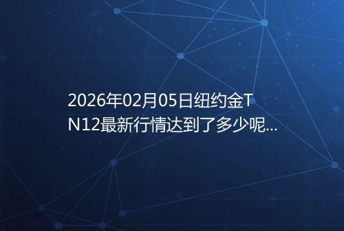 2026年02月05日纽约金TN12最新行情达到了多少呢钱一克