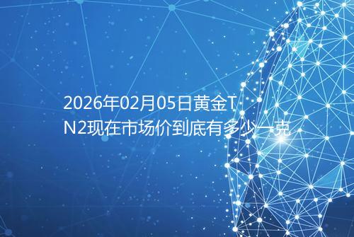 2026年02月05日黄金TN2现在市场价到底有多少一克