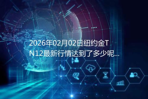 2026年02月02日纽约金TN12最新行情达到了多少呢一克