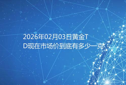 2026年02月03日黄金TD现在市场价到底有多少一克