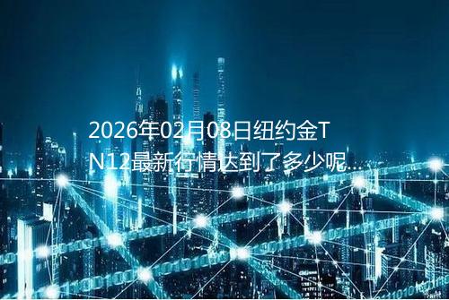2026年02月08日纽约金TN12最新行情达到了多少呢一克