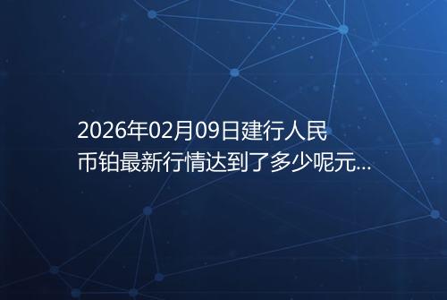 2026年02月09日建行人民币铂最新行情达到了多少呢元一克