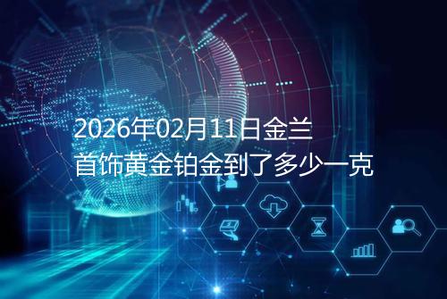 2026年02月11日金兰首饰黄金铂金到了多少一克