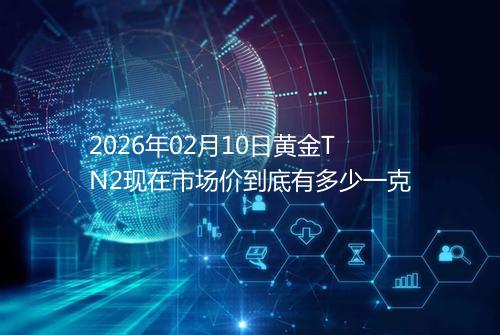 2026年02月10日黄金TN2现在市场价到底有多少一克