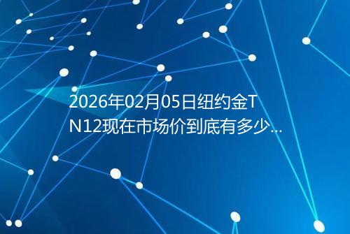 2026年02月05日纽约金TN12现在市场价到底有多少钱一克