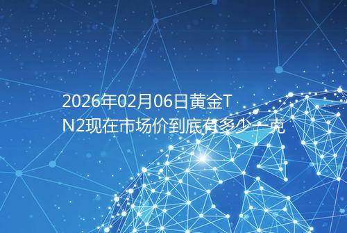 2026年02月06日黄金TN2现在市场价到底有多少一克