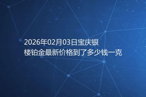 2026年02月03日宝庆银楼铂金最新价格到了多少钱一克