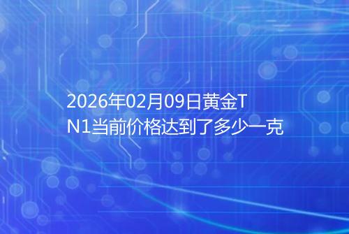 2026年02月09日黄金TN1当前价格达到了多少一克