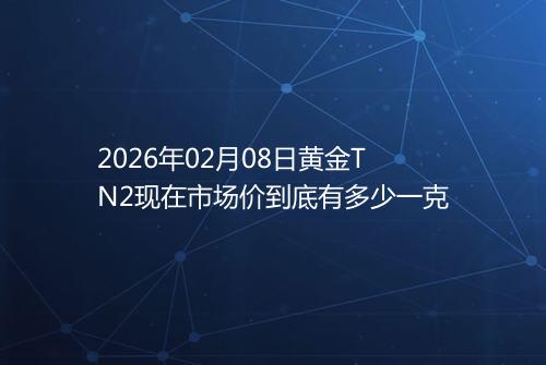 2026年02月08日黄金TN2现在市场价到底有多少一克