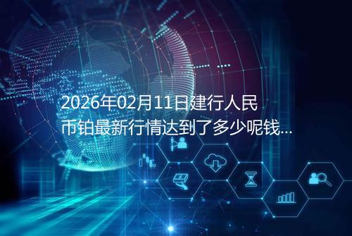 2026年02月11日建行人民币铂最新行情达到了多少呢钱一克