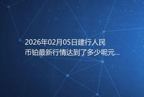 2026年02月05日建行人民币铂最新行情达到了多少呢元一克
