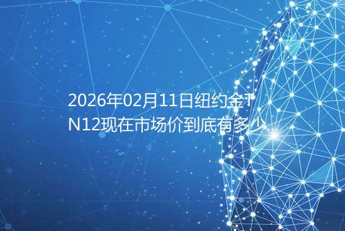 2026年02月11日纽约金TN12现在市场价到底有多少钱一克