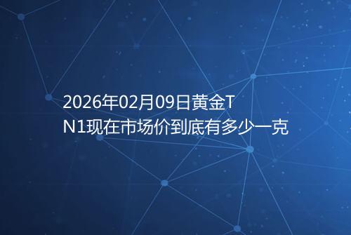 2026年02月09日黄金TN1现在市场价到底有多少一克