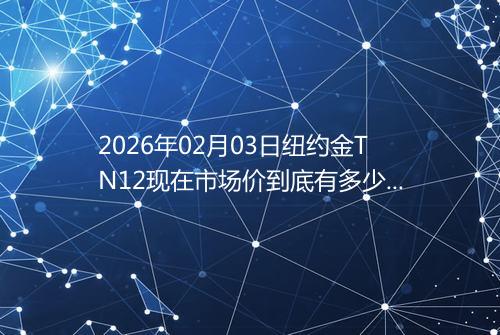 2026年02月03日纽约金TN12现在市场价到底有多少钱一克