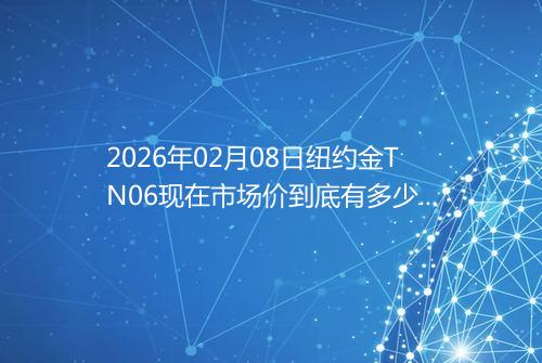 2026年02月08日纽约金TN06现在市场价到底有多少一克