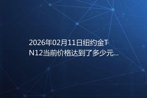 2026年02月11日纽约金TN12当前价格达到了多少元一克