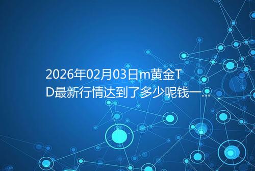 2026年02月03日m黄金TD最新行情达到了多少呢钱一克