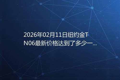 2026年02月11日纽约金TN06最新价格达到了多少一克