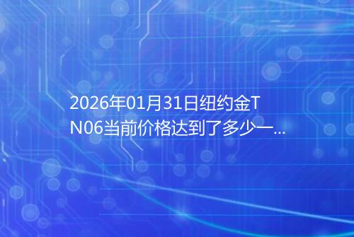 2026年01月31日纽约金TN06当前价格达到了多少一克