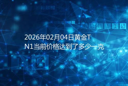 2026年02月04日黄金TN1当前价格达到了多少一克