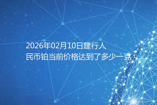 2026年02月10日建行人民币铂当前价格达到了多少一克