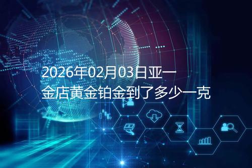 2026年02月03日亚一金店黄金铂金到了多少一克