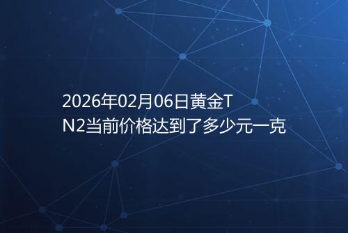 2026年02月06日黄金TN2当前价格达到了多少元一克