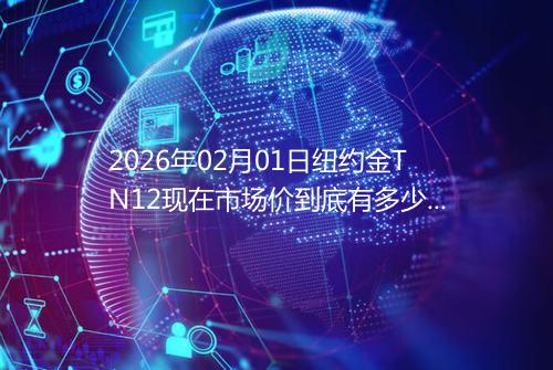 2026年02月01日纽约金TN12现在市场价到底有多少一克