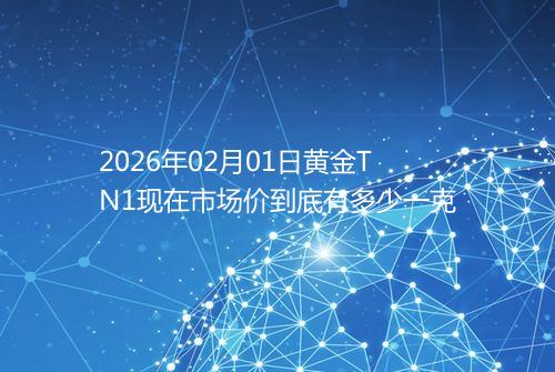 2026年02月01日黄金TN1现在市场价到底有多少一克